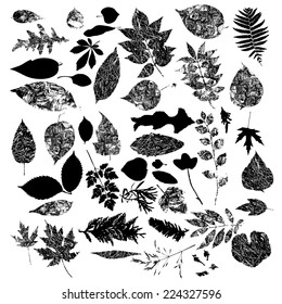 Black silhouettes of foliage-vector set