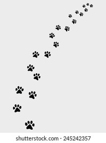 Black silhouettes of footprints of cat, turn right, vector