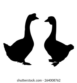 black silhouettes of geese