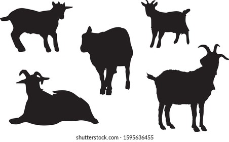 Black silhouettes of goat in different poses on a white background. Domestic animals. Vector illustration