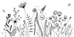 Silhouettes Noires D'herbe, Fleurs Et Herbes Isolées Sur Fond Blanc. Fleurs Et Insectes Dessinés à La Main.