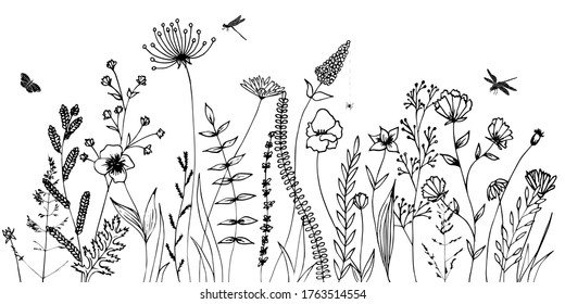 Black silhouettes grass  flowers  herbs    various insects isolated white background  Hand drawn sketch flowers   insects 
