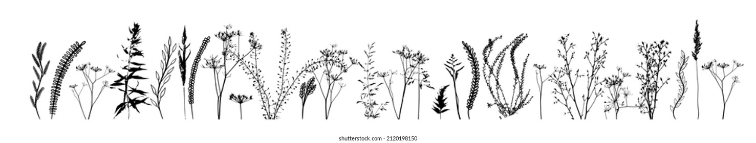 Black silhouettes of grass, flowers and herbs isolated on white background. Hand drawn sketch flowers. Vector illustration