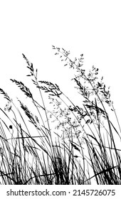 Black silhouettes of grass, flowers and herbs isolated on white background. Hand drawn sketch flowers. Vector illustration