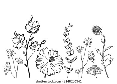 Black silhouettes of grass, flowers and herbs isolated on white background. Hand drawn sketch flowers