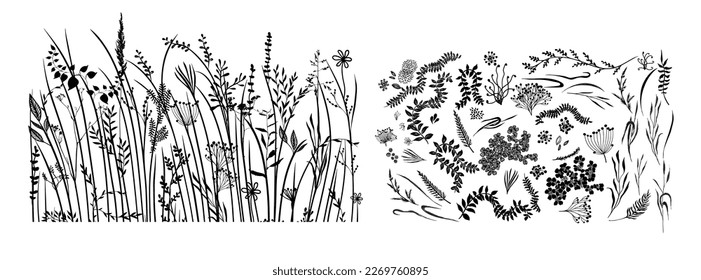 Black silhouettes of grass, flowers and herbs isolated on white background. Hand drawn sketch flowers. Set of grass and flowers graphic elements. Vector illustration