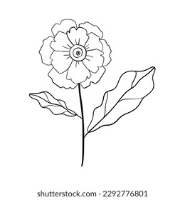 Black silhouettes of grass, flowers and herbs isolated on white background. Hand drawn sketch flowers and insects.