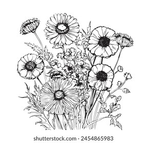 Black silhouettes of grass, flowers and herbs isolated on white background. Hand drawn sketch flowers and insects.