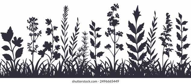 Black silhouettes of grass, flowers, and herbs with insects, hand-drawn vector on white background.