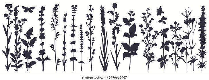 Black silhouettes of grass, flowers, and herbs with insects, hand-drawn vector on white background.