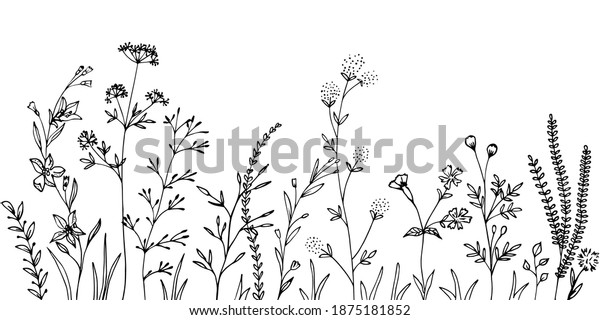 Black Silhouettes Grass Flowers Herbs Stock Vector (Royalty Free ...