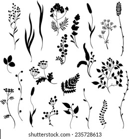 Black silhouettes of  grass on white background