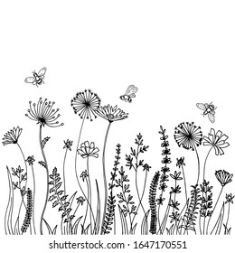 Black silhouettes of grass, spikes and herbs isolated on white background. Hand drawn sketch flowers and bees.