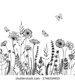 Black silhouettes of grass, spikes and herbs isolated on white background. Hand drawn sketch flowers and bees. Coloring book page design, elements for home decor and textile.
