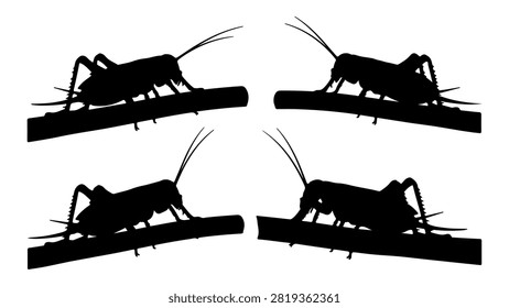 Black silhouettes of grasshoppers positioned on a flat surface, showcasing their detailed body parts and antennae against a plain background.