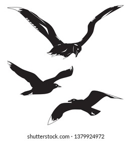 Black silhouettes of gulls and albatross. Sea birds.