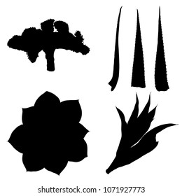 Black silhouettes of hand drawn cactus set. Desert exotic plants succulents collection. Vector.