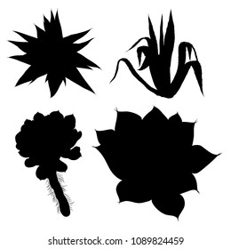 Black silhouettes of hand drawn cactus set. Desert exotic plants succulents collection. Vector.