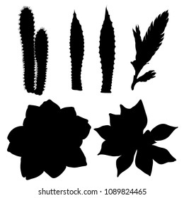 Black silhouettes of hand drawn cactus set. Desert exotic plants succulents collection. Vector.