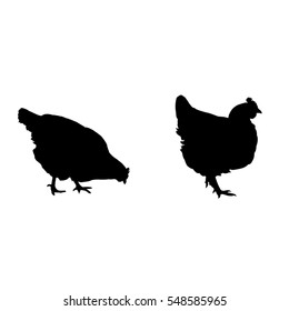 Black silhouettes of hens and chickens on a white background - vector