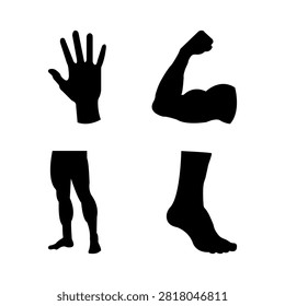 Black silhouettes of a human arm, hand, leg, and foot isolated on a clean white background, depicting body parts.