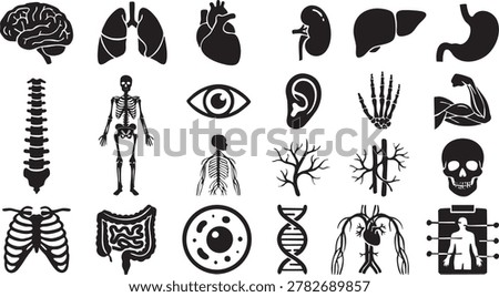 Black silhouettes of human body organs skeletal structure brain heart lungs nervous system anatomy icons suitable for medical research scientific study