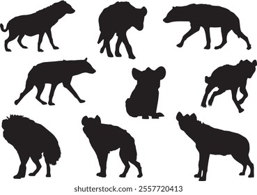 Black silhouettes of hyena in different poses isolated on white background. Running, hunting, sitting, going, standing. Child. Wild animals. Vector realistic illustrations