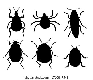 Black silhouettes of insects and arachnids isolated on a white background. Vector illustration.