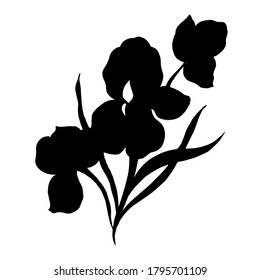 Black silhouettes of irises flowers. Vector illustration.