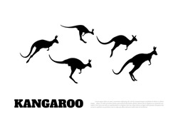 Zwarte Silhouetten Van Springende Kangoeroes Op Een Witte Achtergrond. Geïsoleerde Tekening Van Een Wallaby. Vector-illustratie