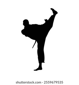 Black silhouettes of karate isolated on white background