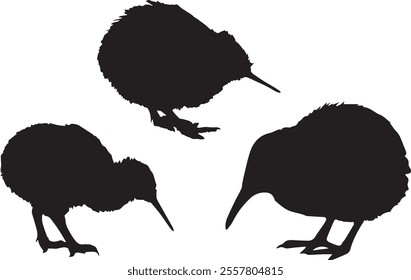 Black silhouettes of kiwi bird in different poses isolated on white background. Wild animals with a long beak. Vector realistic illustrations