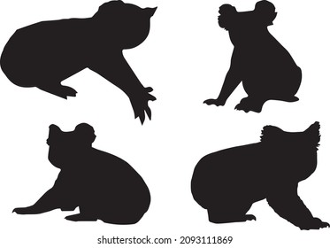 Black silhouettes of koala in different poses on a white background.Standing, going, sitting, lying. Wild mammal Australian animals. Vector realistic illustrations