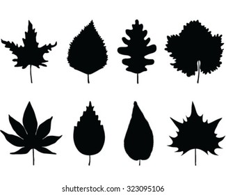 Black silhouettes of leaves, background, vector, isolated, wallpaper