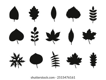 Black silhouettes of leaves of different shapes and lengths drawn by hand isolated on white background. Spring and autumn plant elements for posters and banners. Minimalistic trees and branches.