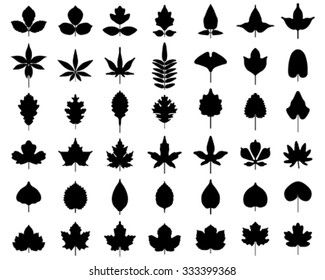 193,560 Fall leaf silhouette Images, Stock Photos & Vectors | Shutterstock