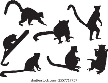 Black silhouettes of lemur in different poses isolated on white background. Sitting, crawling, going, standing. Wild animals. Set of vector realistic illustrations