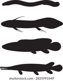 Black silhouettes of long fish and prehistoric species isolated on grid for ocean and wildlife graphic projects.