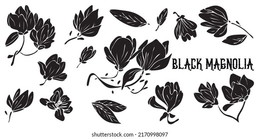 Black silhouettes magnolia flowers isolated white background  Hand drawn vector illustration for wedding invitations  greeting cards   witchcraft