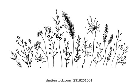 Black silhouettes of meadow herbs, grass, flowers. Field. Hand drawn sketch. Vector illustration isolated on white background