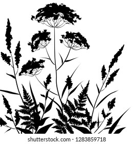 Black silhouettes of meadow herbs. Wildflowers. Floral background. Wild grass. Summer field. Vector illustration.