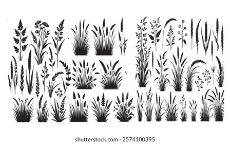 Black Silhouettes of Meadow Plants, A diverse collection of grasses, grains, and wildflowers in a vector format ideal for design projects,