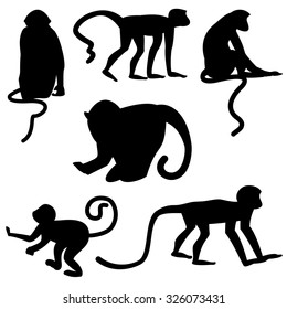 Black silhouettes of monkeys in six variations on white background. Vector illustration