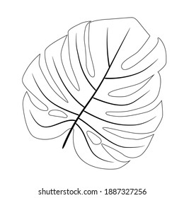 Black Silhouettes of monstera leaf isolated on white background. Vector illustration