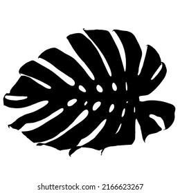 Black Silhouettes of monstera leaf isolated on white background, Vector illustration
