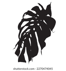Siluetas negras de hojas de monstera aisladas en fondo blanco, ilustración vectorial
