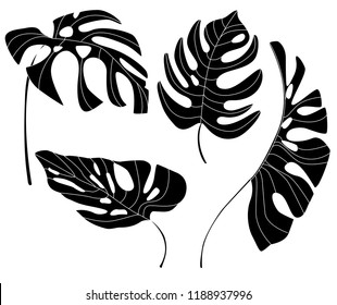 black silhouettes of monstera leaves. vector set of tropical leaves.