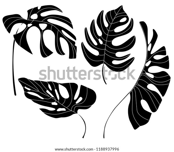 Black Silhouettes Monstera Leaves Vector Set Stock Vector (Royalty Free ...