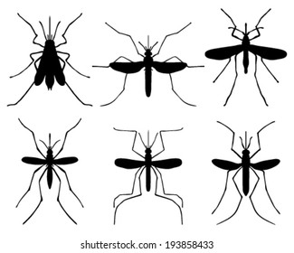 Black silhouettes of mosquito, vector illustration