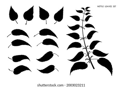 Black silhouettes of nettle grass leaves isolated on white background. Autumn fallen field grass leaves. Stencil vector